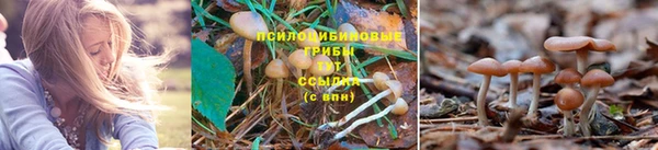 метамфетамин Касимов