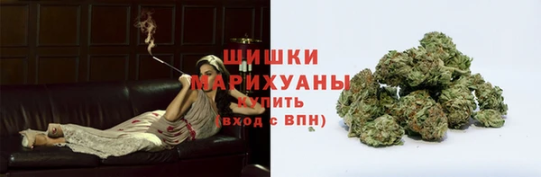 тгк Каменногорск