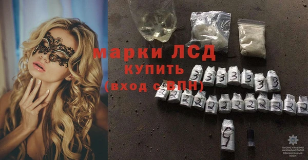 тгк Каменногорск