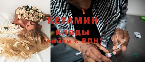 прущие грибы Каменка