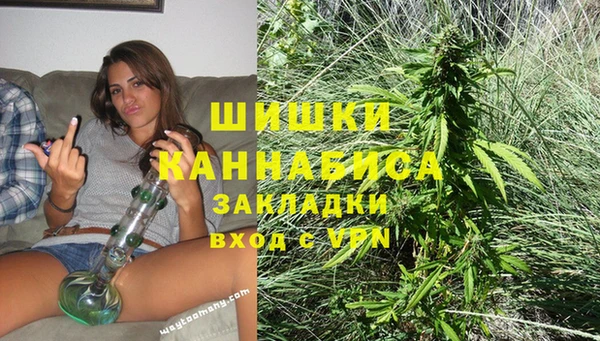 прущие грибы Каменка