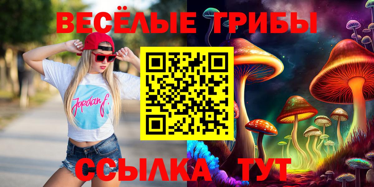 Черняховск  Псилоцибиновые грибы GOLDEN TEACHER  как найти наркотики  Псилоцибиновые грибы MAGIC MUSHROOMS  Вход с VPN 