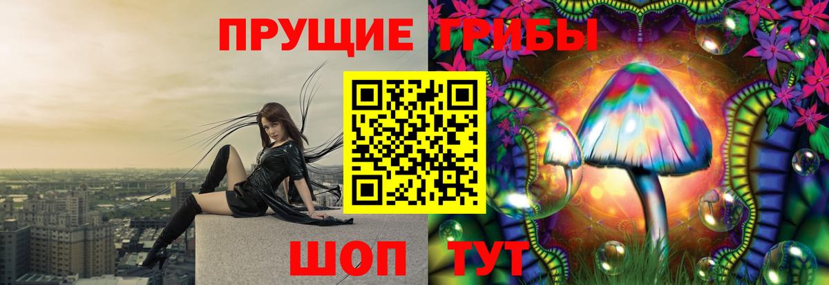 Галлюциногенные грибы GOLDEN TEACHER Черняховск